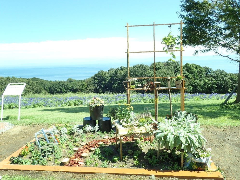 高校生花とみどりのガーデンを作成しました 兵庫県立播磨農業高校