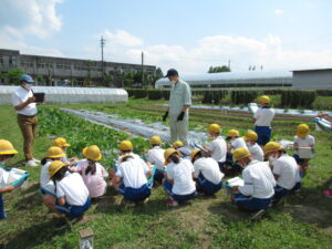 野菜コースの生徒が小学生の「野菜の先生」になりました。