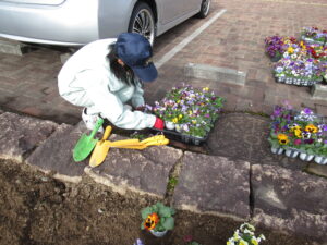 加西警察署の花壇に花を植えました。