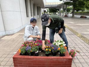 加西市役所 花壇の植栽を行いました