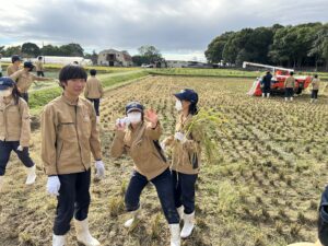 農業経営科　１年生　稲刈りの様子