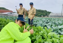 雨にも負けず…【60回生・野菜コース】