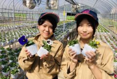 秋のイベントに向けて…【草花デザインコース、作物・農業機械コース】