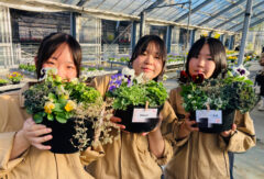 寄せ植えって楽しいな！【60回生・草花デザインコース】