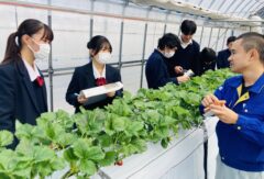 植物工場＆イチゴ栽培施設の見学【野菜コース】