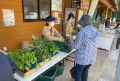 宍粟市で野菜苗の販売実習を行いました