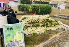 卒業生の方へ（農高祭新規出店者募集）