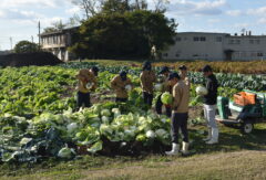 農高祭・ふれあい伝統芸能フェスティバル準備