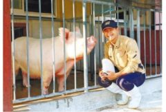 県民だより兵庫GOKOKU（兵庫県広報誌）12月号