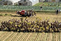 伊勢丹新宿本店お米場田心さんにて「のうこう米」販売