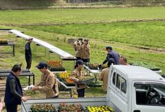 ６１回生　園芸科　通信５号「花いっぱい運動編」