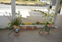 4/10（金）花いけバトル練習