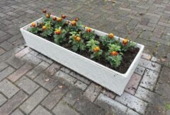 加西市役所前花壇の植栽実習をおこないました