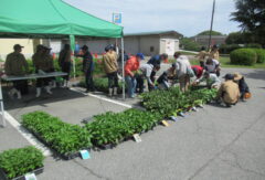 農業経営科野菜コースが野菜苗の販売実習をしました。