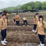 園芸科の一年生：トウモロコシの植え付け
