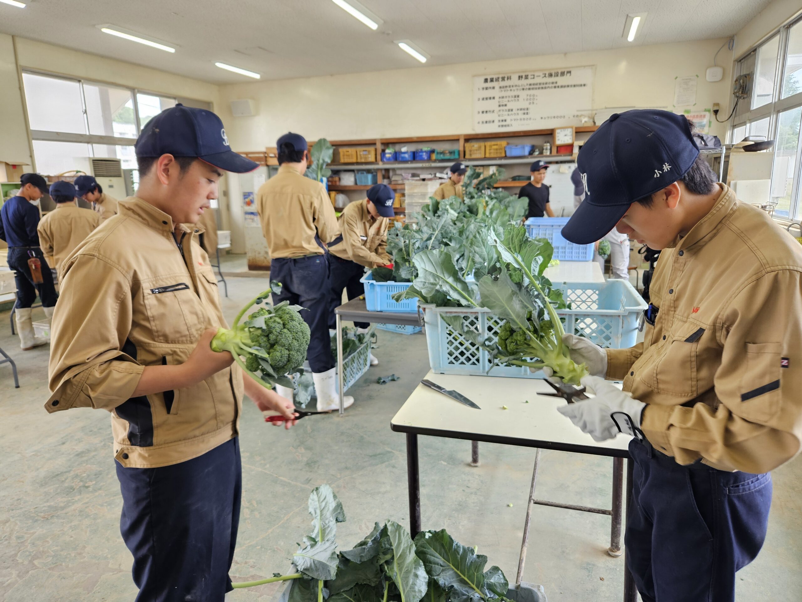 農業経営科１年生の総合実習