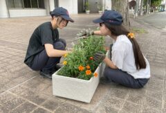 ３年園芸科草花コースの生徒が加西市役所前花壇の管理作業をおこないました。