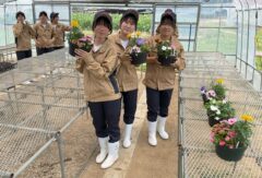園芸科の１年生が、草花の寄せ植え作品を制作しました