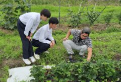 野菜コースの２年生がイチゴ農家を見学に行きました。