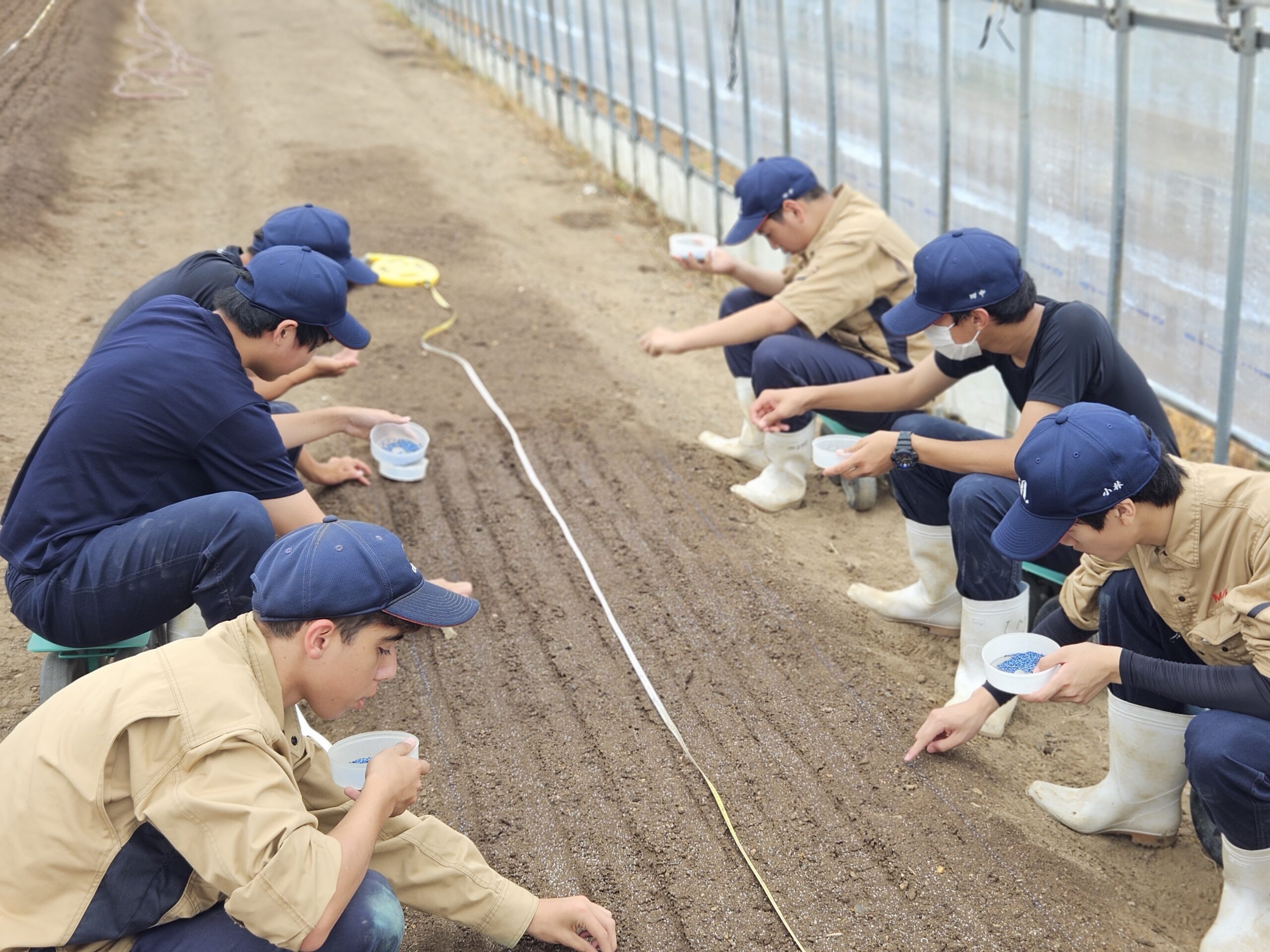 農業経営科１年生が軟弱野菜の種を播きました。