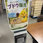 園芸科果樹コース　特産品ブドウPR事業