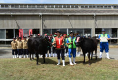 9/11　第108回兵庫県畜産共進会農大・高校生枠選考会