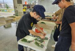 農業経営科１年生の総合実習
