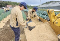 ネギの栽培管理をしました。