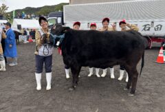第108回兵庫県畜産共進会に出品しました